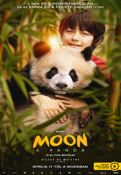 Moon a panda