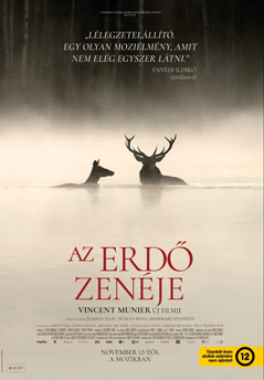 Az erdő zenéje